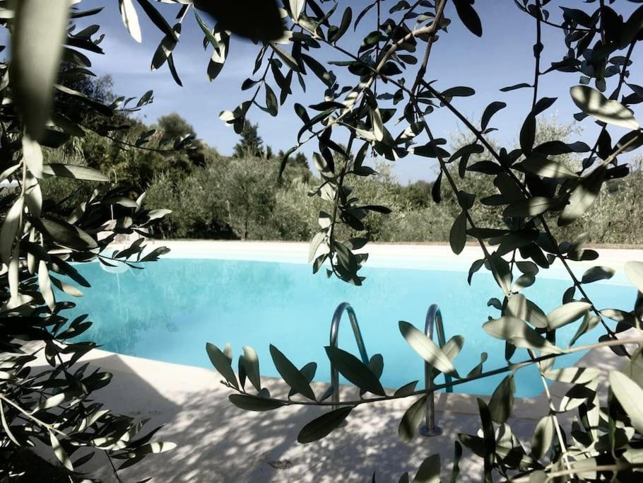 Podere San Giorgio Palaia Kültér fotó